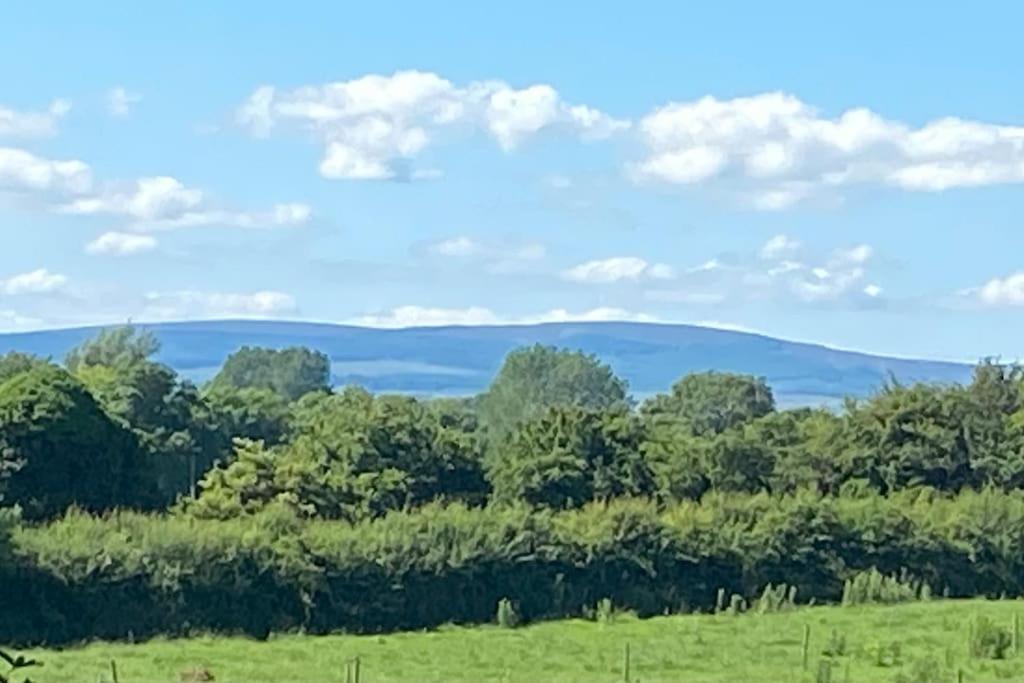 Adorable Cabin In The Countryside Laois Esterno foto