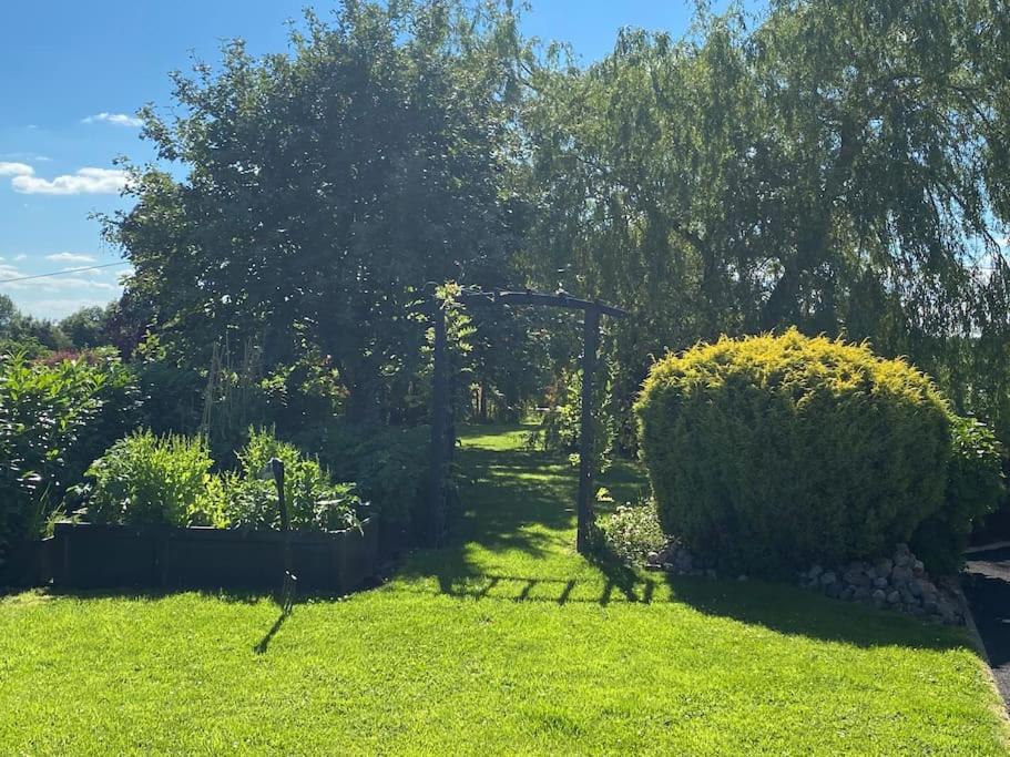 Adorable Cabin In The Countryside Laois Esterno foto