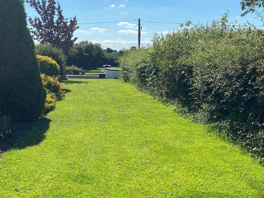 Adorable Cabin In The Countryside Laois Esterno foto